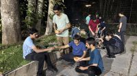 gallery_latest_0